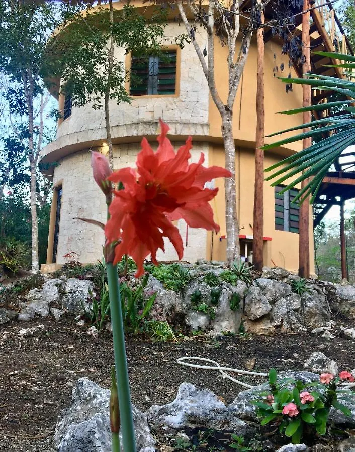 La Casa Redonda. Tulum-Coba Villa Francisco Uh May Mexico
